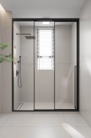 Душевая дверь раздвижная 1100x2000 цвет профиля Чёрный матовый стекло прозрачное PR3/L-110-01-B-C4 Premium Veconi