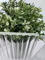 Перегородка для душа RGW WA-08B 100*195 06100810-154 профиль Чёрный стекло Ribbed 8 мм RGW